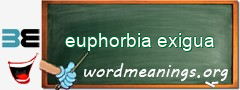 WordMeaning blackboard for euphorbia exigua